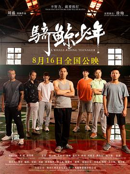 《欢迎回我的频道》电视剧高清全集