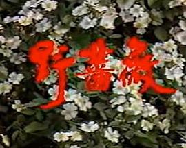 《欢迎回我的频道》电视剧高清全集