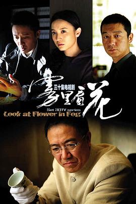 《迷雾之境》电视剧高清全集
