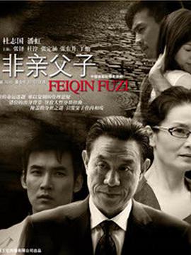 《危如累卵2003》电视剧高清全集