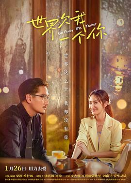 《因为爱情有奇观DVD》电视剧高清全集
