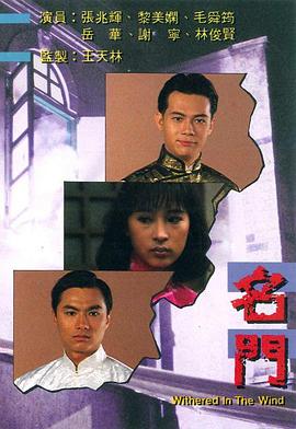 《机场特警国语》电视剧高清全集