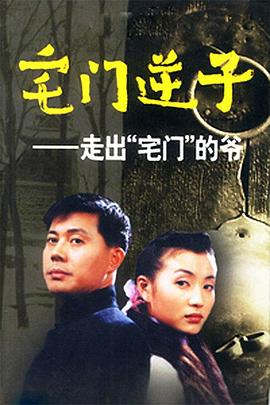 《覆面D》电视剧高清全集