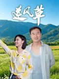 《午后乐事》电影高清完整版