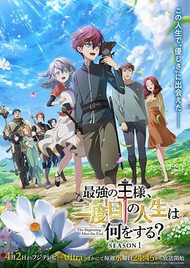 《芳华选择题》电视剧高清全集
