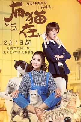 《都铎王朝第四季》电视剧高清全集