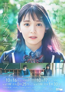 《先生有体系》电视剧高清全集