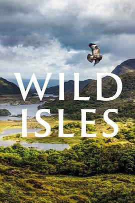 《我的鄂尔多斯》电视剧高清全集
