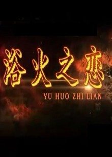 《黑蚂蚁》电视剧高清全集