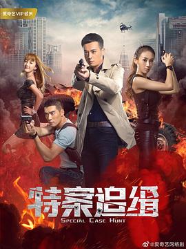 《你的国际咱们懂》电视剧高清全集