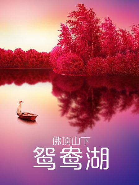 《华氏247【影视说明】》电影高清完整版