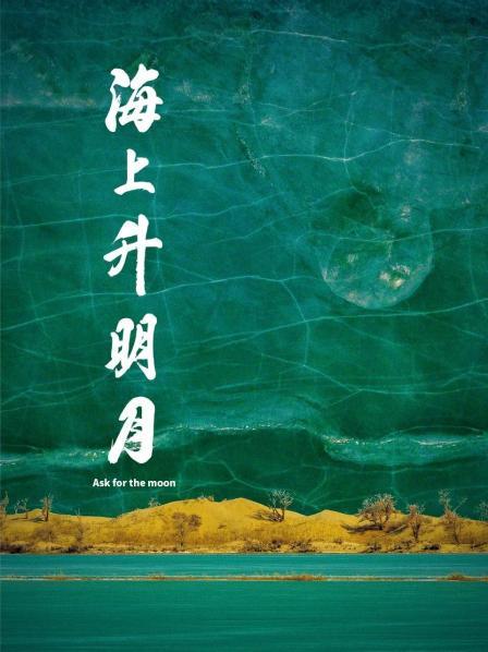 《完美的国际》电视剧高清全集