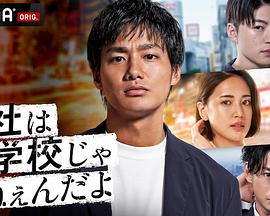 《上海女子图鉴》电视剧高清全集