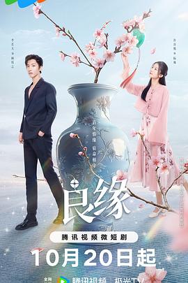 《你是我心中的太阳》电视剧高清全集