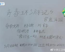 《少年特务第三季》电视剧高清全集