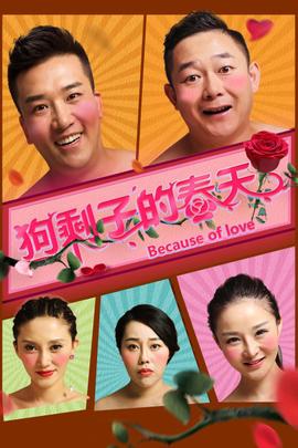 《灰姑娘职场记》电影高清完整版