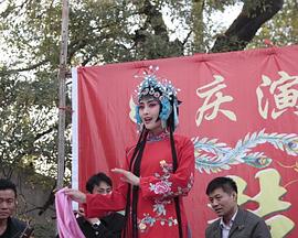 《精灵宝可梦：比克提尼与黑之英豪捷克罗姆粤语》动漫高清全集