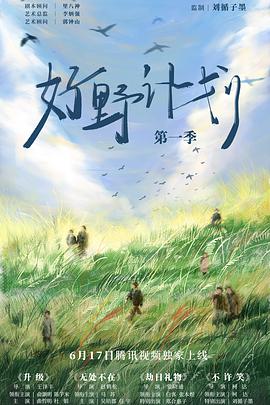 《这个杀手不改需求》电视剧高清全集
