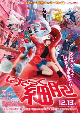 《奇特两女侠国语》电影高清完整版