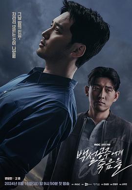 《青之驱魔师岛根启明结社篇》动漫高清全集
