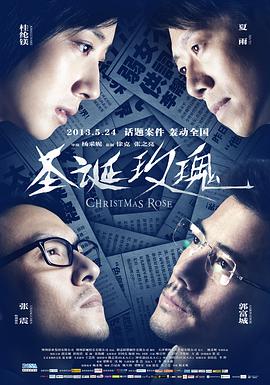 《双生花2014》电视剧高清全集