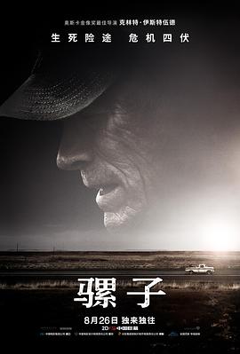 《极北以北》电视剧高清全集