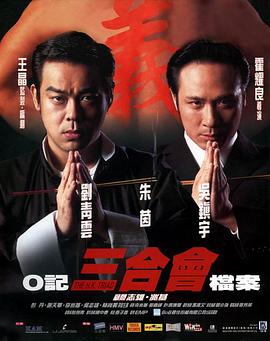 《迷墙2026》电视剧高清全集