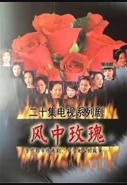 《大诈骗师》动漫高清全集