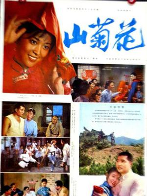 《哈利·波特与逝世圣器(上)》电影高清完整版