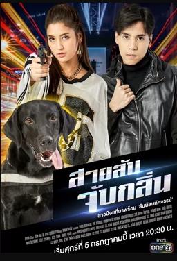 《凝视者》电影高清完整版