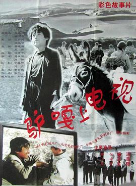 《爱犬奇观【影视说明】》电影高清完整版