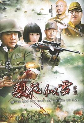 《夺命提示粤语》电视剧高清全集