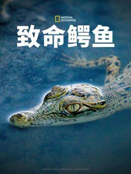 《仇杀【影视说明】》电影高清完整版