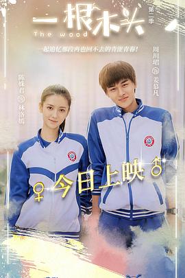 《欲望都市 纪录片》电影高清完整版