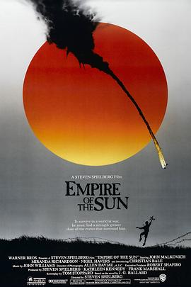 《中华兵王之戒备时间》电影高清完整版