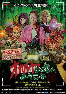 《酒店之星》电视剧高清全集