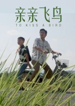《梦回金沙城》动漫高清全集