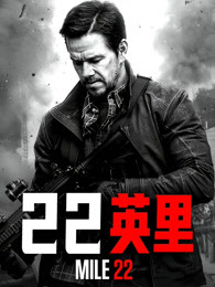 《绝密543》电视剧高清全集