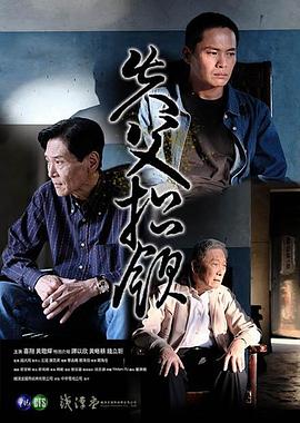 《存亡十七天》电视剧高清全集