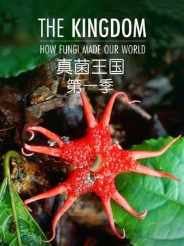 《我喜欢你【影视说明】》电影高清完整版