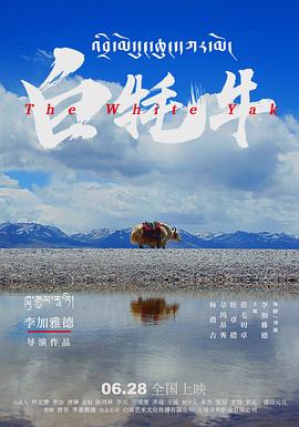 《元宵节的结》电影高清完整版