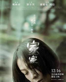 《那个重逢的夜晚》电视剧高清全集