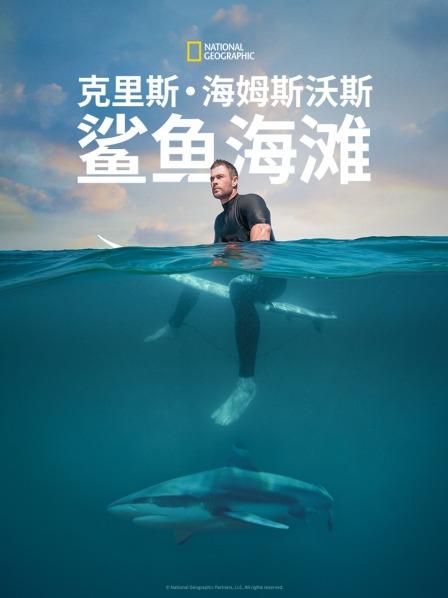 《多浪迪总统》电影高清完整版
