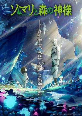 《小丑【影视说明】》电影高清完整版
