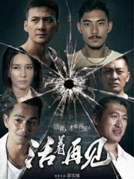 《名侦察柯南.工藤新一的挑战书》电视剧高清全集