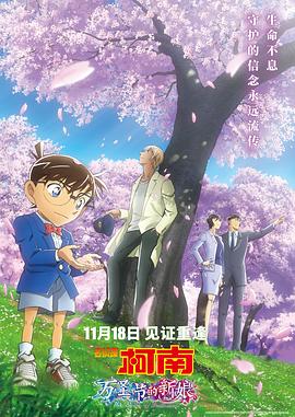 《杖与剑的魔剑谭第二季》动漫高清全集