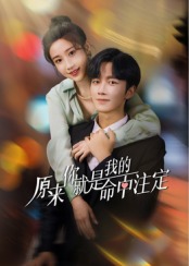 《少女与战车 剧场版》动漫高清全集