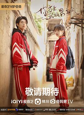《天鹅湖》电影高清完整版