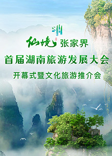 《才调》电影高清完整版