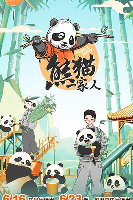 《银河的一票》电视剧高清全集